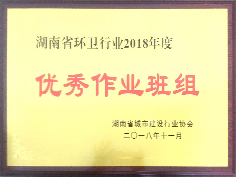 湖南省環(huán)衛(wèi)行業(yè)2018年度優(yōu)秀作業(yè)班組（桃江項(xiàng)目部）